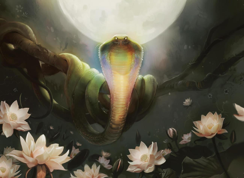 Illustration for article titled The Greatest Magic: The Gathering Art of All Time